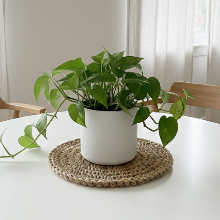 Spiral Planter Jute Placemat